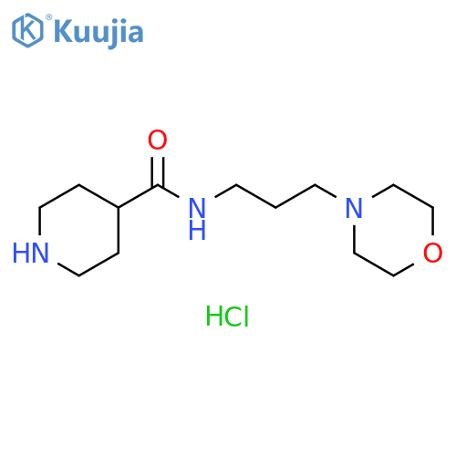 N-(3-morpholinopropyl)piperidine-4-carboxamide;dihydrochloride structure