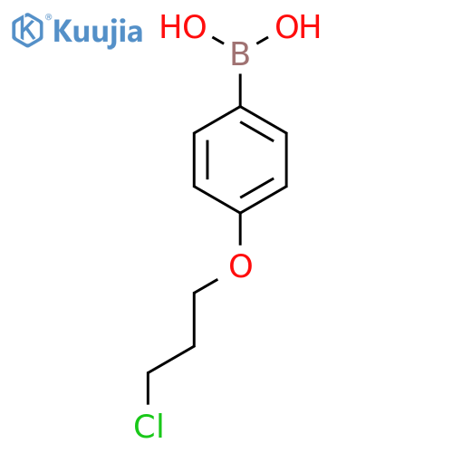 (4-(3-Chloropropoxy)phenyl)boronic acid structure