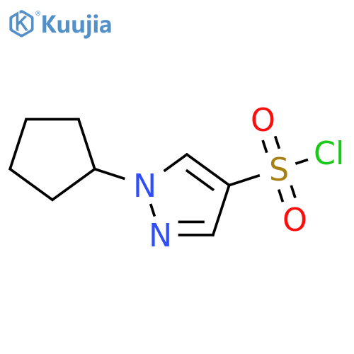1-cyclopentyl-1H-pyrazole-4-sulfonyl chloride structure