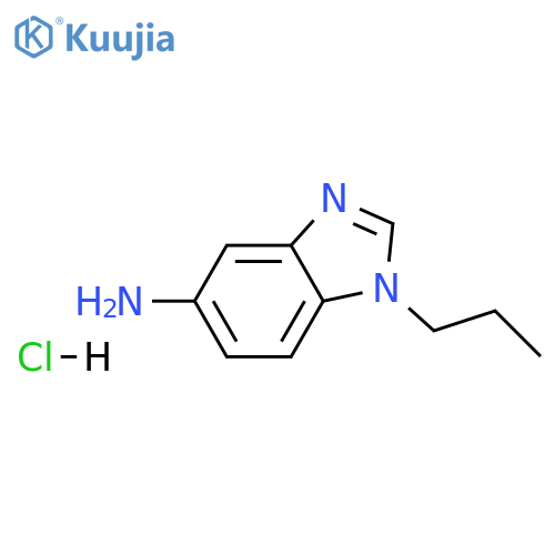 1-propyl-1H-benzimidazol-5-amine hydrochloride structure