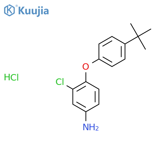 4-4-(tert-Butyl)phenoxy-3-chlorophenylamine Hydrochloride structure