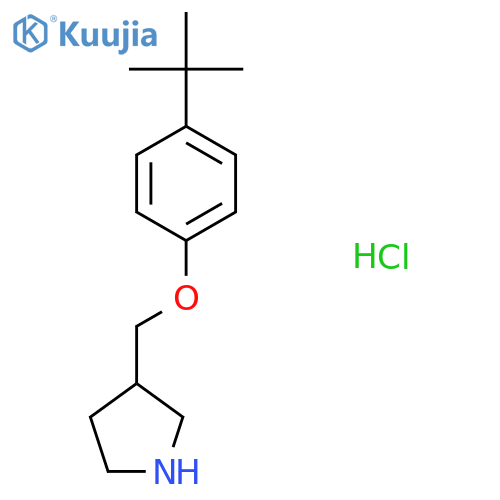 4-(Tert-Butyl)phenyl 3-pyrrolidinylmethyl ether hydrochloride structure