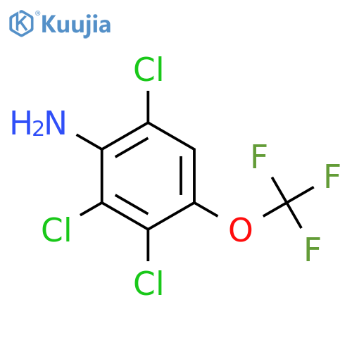 Benzenamine, 2,3,6-trichloro-4-(trifluoromethoxy)- structure