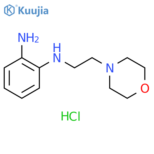 N1-[2-(morpholin-4-yl)ethyl]benzene-1,2-diamine dihydrochloride structure
