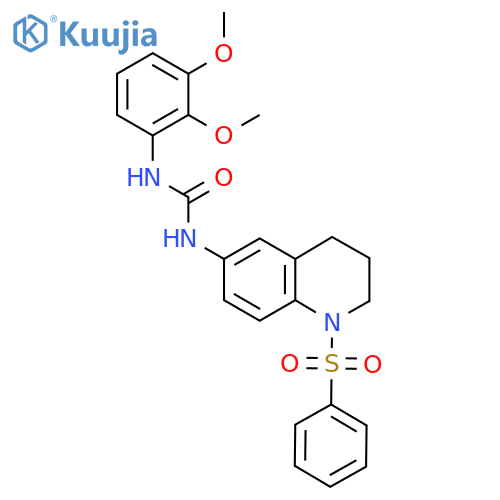 3-1-(benzenesulfonyl)-1,2,3,4-tetrahydroquinolin-6-yl-1-(2,3-dimethoxyphenyl)urea structure