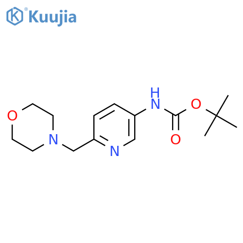 Tert-butyl 6-(morpholinomethyl)pyridin-3-ylcarbamate structure