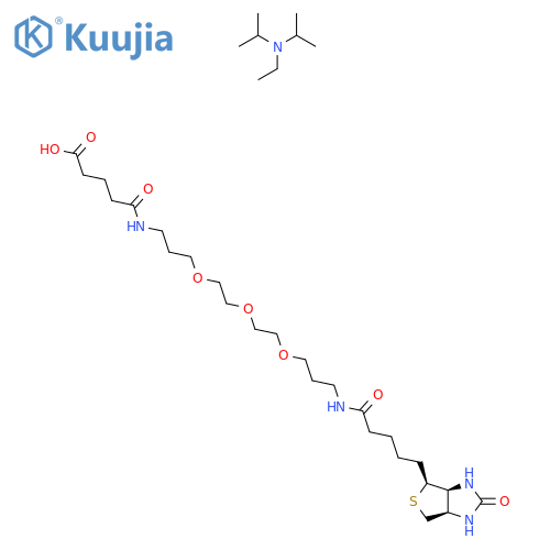 N-Biotinyl-NH-(PEG)2-COOH . DIPEA structure
