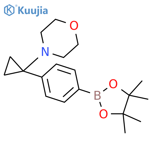 4-[1-[4-(4,4,5,5-tetramethyl-1,3,2-dioxaborolan-2-yl)phenyl]cyclopropyl]morpholine structure