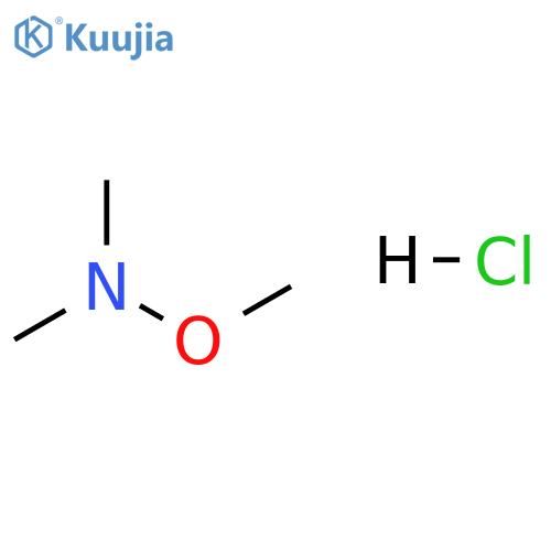 N-Methoxydimethylamine hydrochloride structure