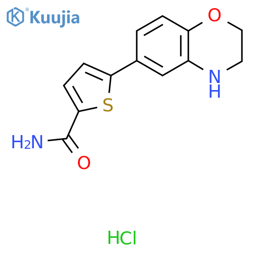 5-(3,4-dihydro-2H-1,4-benzoxazin-6-yl)thiophene-2-carboxamide hydrochloride structure