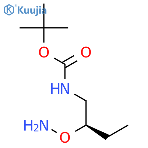 Carbamic acid,[2-(aminooxy)butyl]-, 1,1-dimethylethyl ester, (R)- (9CI) structure