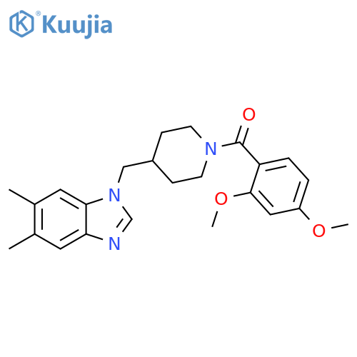 1-{[1-(2,4-dimethoxybenzoyl)piperidin-4-yl]methyl}-5,6-dimethyl-1H-1,3-benzodiazole structure