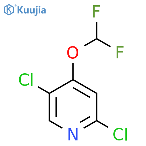 2,5-Dichloro-4-(difluoromethoxy)pyridine structure