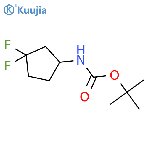 tert-butyl N-(3,3-difluorocyclopentyl)carbamate structure