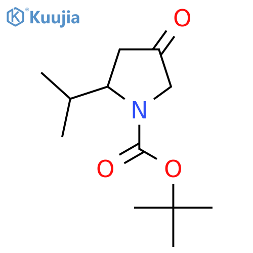 tert-butyl 4-oxo-2-(propan-2-yl)pyrrolidine-1-carboxylate structure