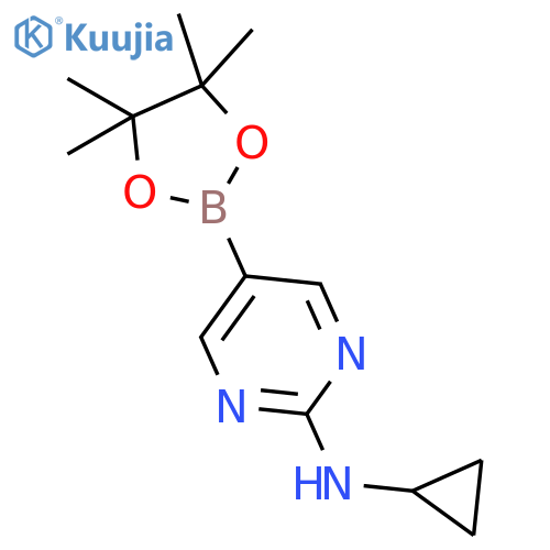 2-Cyclopropylaminopyrimidine-5-boronic acid, pinacol ester structure