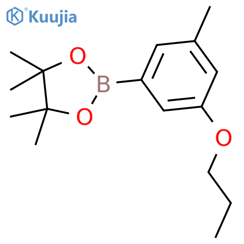 3-Methyl-5-propoxyphenylboronic Acid Pinacol Ester structure