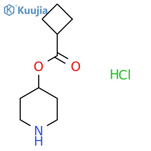4-Piperidinyl cyclobutanecarboxylate hydrochloride structure