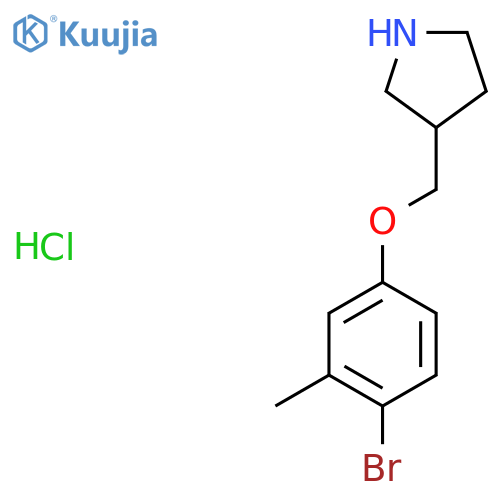 3-(4-Bromo-3-methylphenoxy)methylpyrrolidinehydrochloride structure