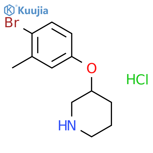 3-(4-Bromo-3-methylphenoxy)piperidinehydrochloride structure