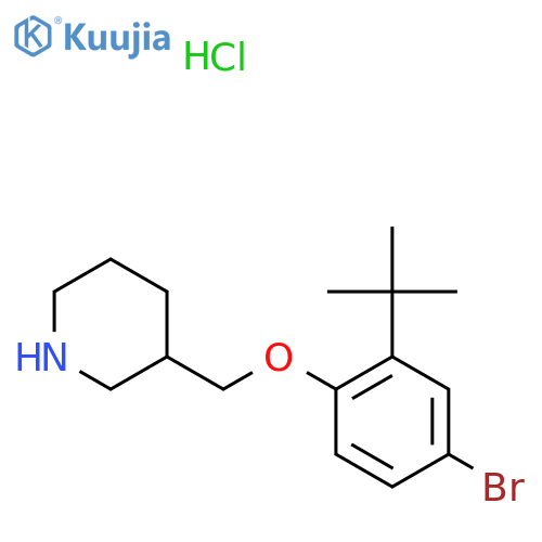 4-Bromo-2-(tert-butyl)phenyl 3-piperidinylmethylether hydrochloride structure