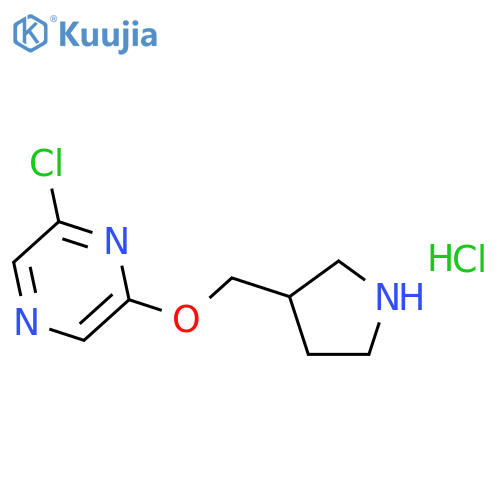 2-Chloro-6-(3-pyrrolidinylmethoxy)pyrazinehydrochloride structure