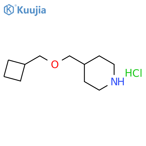Cyclobutylmethyl 4-piperidinylmethyl etherhydrochloride structure