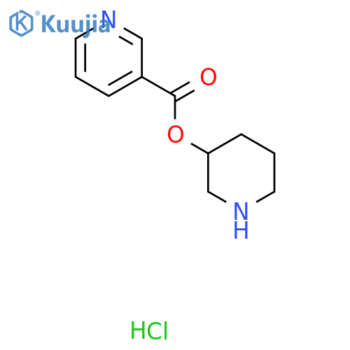 3-Piperidinyl nicotinate hydrochloride structure