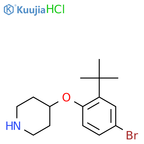 4-4-Bromo-2-(tert-butyl)phenoxypiperidinehydrochloride structure