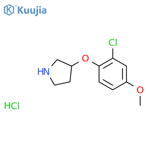 2-Chloro-4-methoxyphenyl 3-pyrrolidinyl etherhydrochloride structure