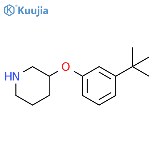 3-(3-tert-butylphenoxy)piperidine structure