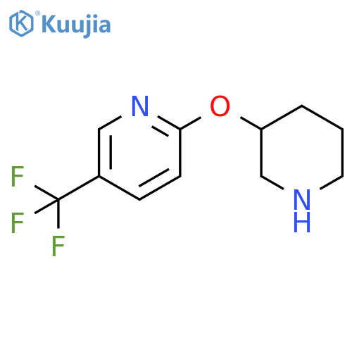 2-(piperidin-3-yloxy)-5-(trifluoromethyl)pyridine structure