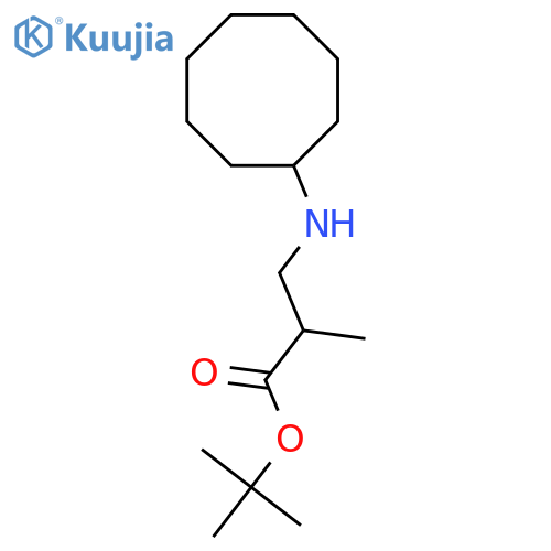 Tert-butyl 3-(cyclooctylamino)-2-methylpropanoate structure