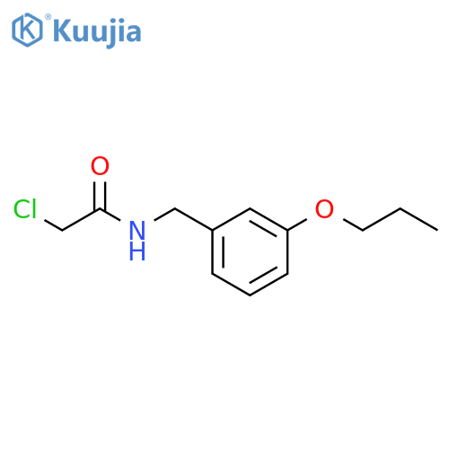 2-Chloro-N-(3-propoxyphenyl)methylacetamide structure