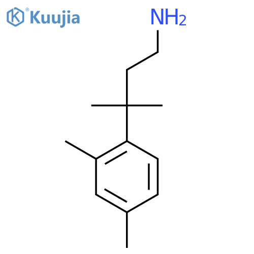3-(2,4-dimethylphenyl)-3-methylbutan-1-amine structure