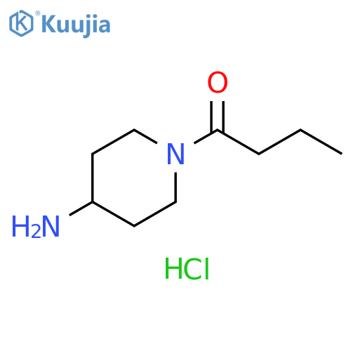 1-(4-aminopiperidin-1-yl)butan-1-one hydrochloride structure
