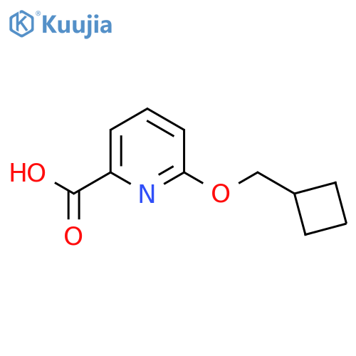 6-(Cyclobutylmethoxy)pyridine-2-carboxylic acid structure