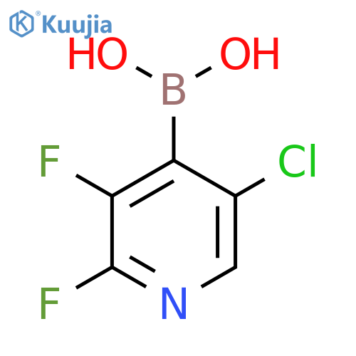 (5-Chloro-2,3-difluoropyridin-4-yl)boronic acid structure