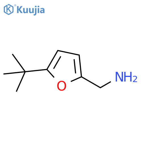 (5-tert-butylfuran-2-yl)methanamine structure