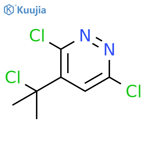 Pyridazine,3,6-dichloro-4-(1-chloro-1-methylethyl)- structure