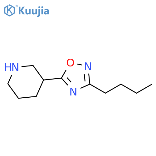 3-Butyl-5-(piperidin-3-yl)-1,2,4-oxadiazole structure