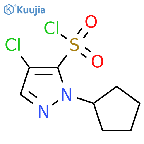4-chloro-1-cyclopentyl-1H-pyrazole-5-sulfonyl chloride structure