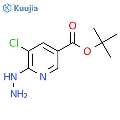 tert-butyl 5-chloro-6-hydrazinylpyridine-3-carboxylate structure