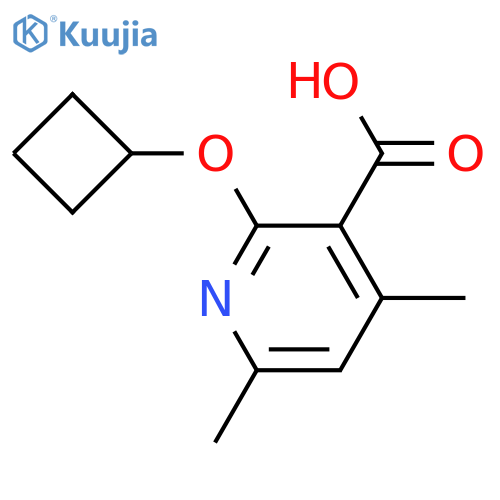 2-cyclobutoxy-4,6-dimethylpyridine-3-carboxylic acid structure