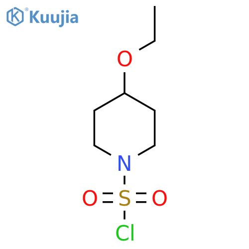 4-Ethoxypiperidine-1-sulfonyl chloride structure
