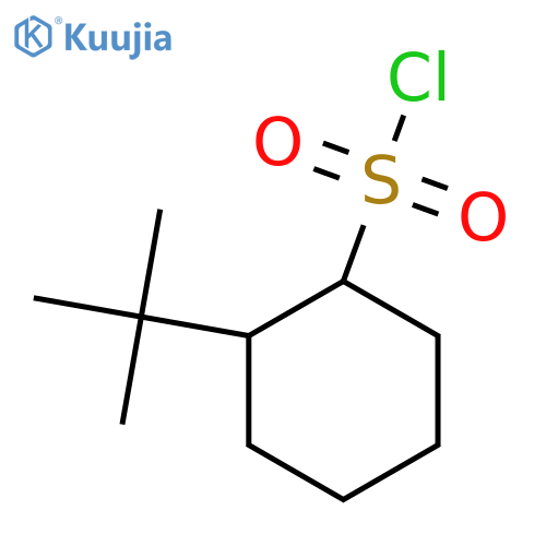 2-Tert-butylcyclohexane-1-sulfonyl chloride structure