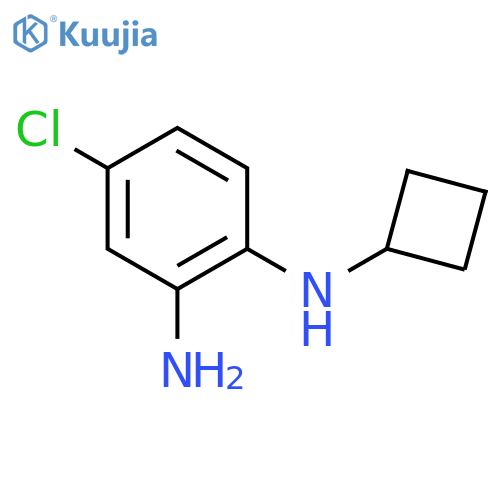 4-chloro-N1-cyclobutylbenzene-1,2-diamine structure