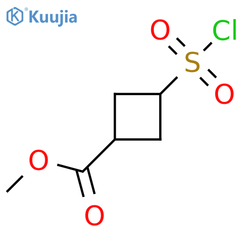 Methyl 3-(chlorosulfonyl)cyclobutane-1-carboxylate structure