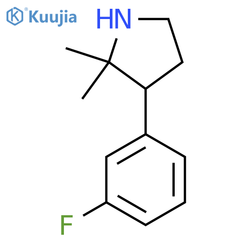 3-(3-Fluorophenyl)-2,2-dimethylpyrrolidine structure