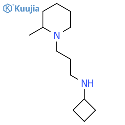 N-[3-(2-methylpiperidin-1-yl)propyl]cyclobutanamine structure